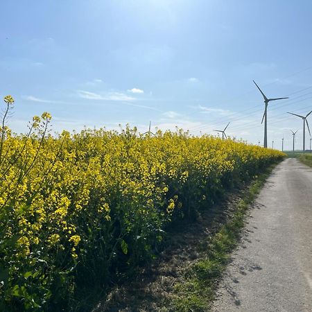 Kaisers Ferienhaus Kaifenheim Eksteriør billede